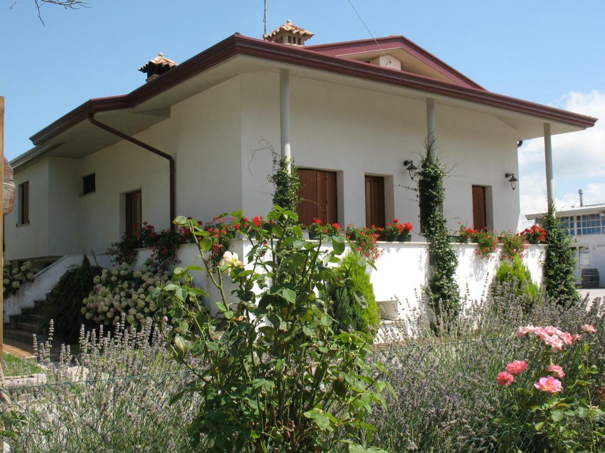 Agriturismo Ballaminut Terzo d' Aquileia Exteriér fotografie